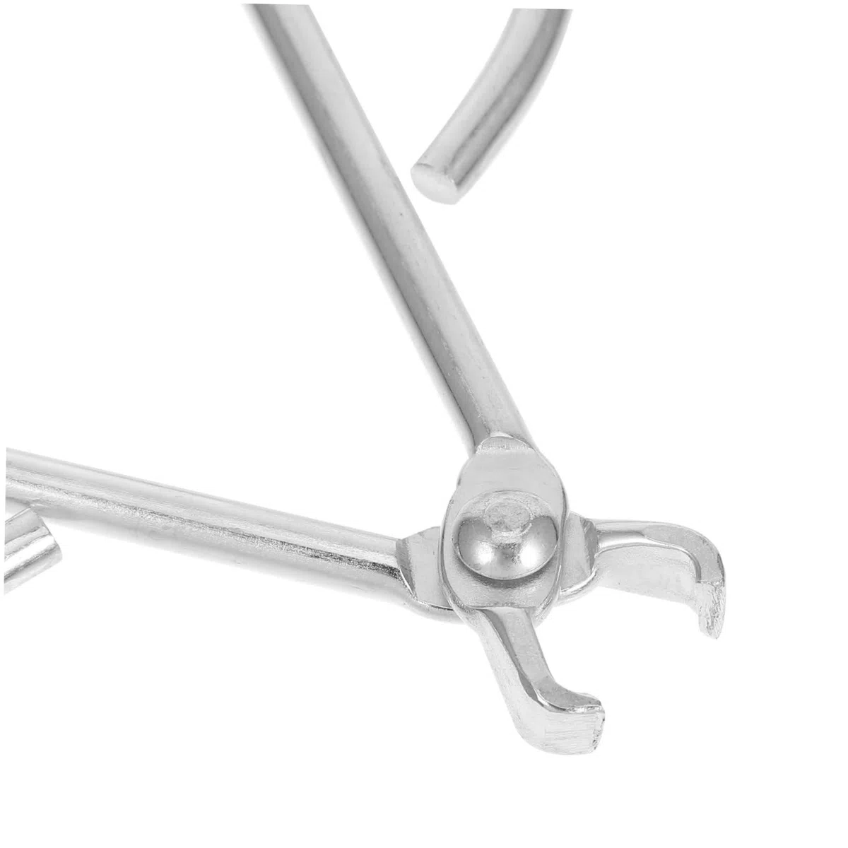 TOPBATHY Pinza para Pelar Piñones de Acero Inoxidable Diseño Multifuncional Seguro, Abridor Rápido y Herramienta Doméstica para Descascarar Nueces y Castañas