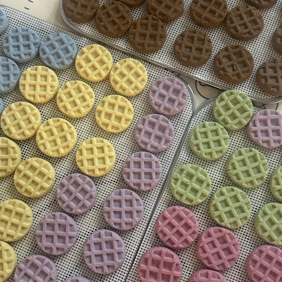 2 moldes redondos de silicona para gofres, antiadherentes, color rojo
